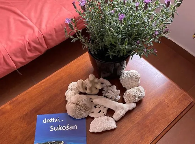 Kika Sukošan